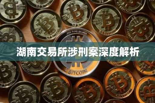 湖南交易所涉刑案深度解析