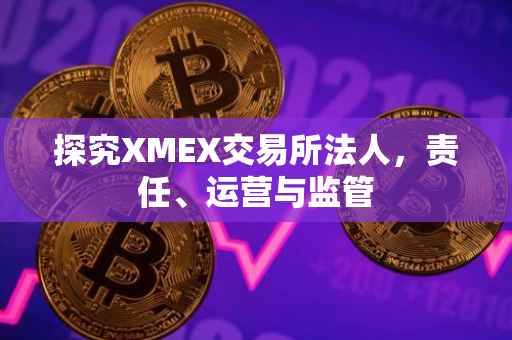 探究XMEX交易所法人，责任、运营与监管