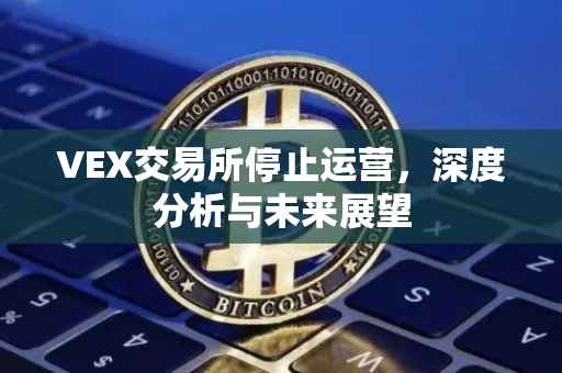 VEX交易所停止运营，深度分析与未来展望