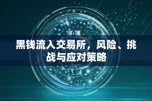黑钱流入交易所，风险、挑战与应对策略
