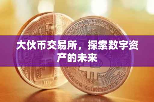 大伙币交易所，探索数字资产的未来