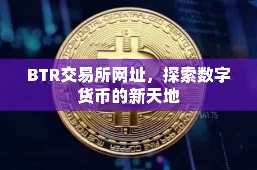 BTR交易所网址，探索数字货币的新天地
