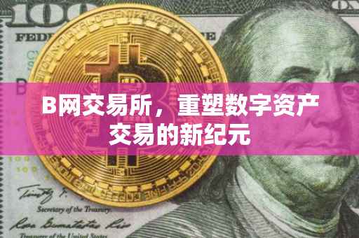 B网交易所，重塑数字资产交易的新纪元