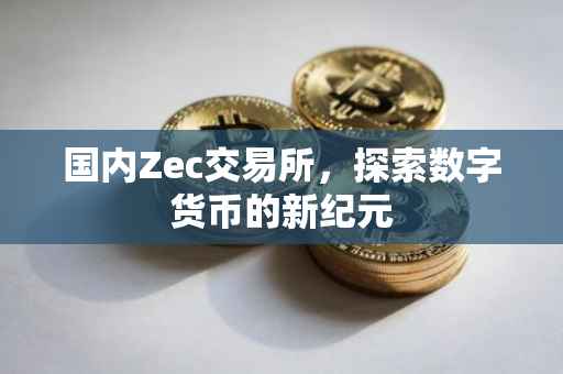 国内Zec交易所，探索数字货币的新纪元