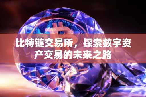 比特链交易所，探索数字资产交易的未来之路