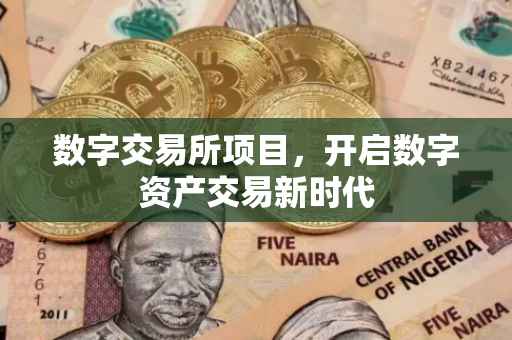 数字交易所项目，开启数字资产交易新时代