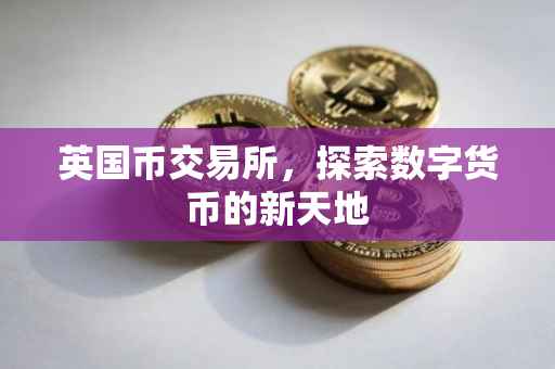 英国币交易所，探索数字货币的新天地