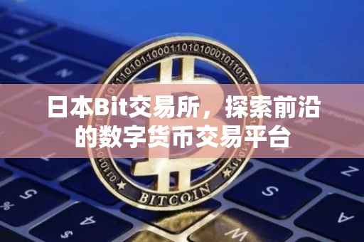 日本Bit交易所，探索前沿的数字货币交易平台