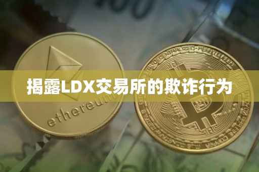 揭露LDX交易所的欺诈行为