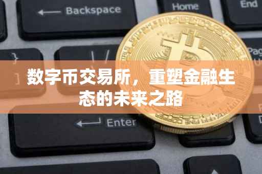 数字币交易所，重塑金融生态的未来之路
