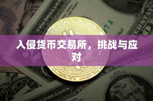 入侵货币交易所，挑战与应对