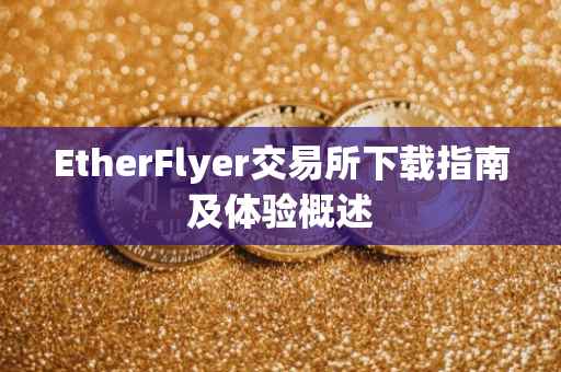EtherFlyer交易所下载指南及体验概述