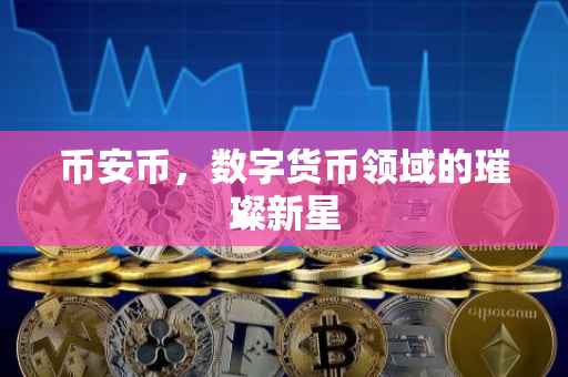 币安币，数字货币领域的璀璨新星