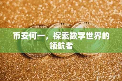 币安何一，探索数字世界的领航者