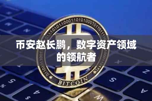 币安赵长鹏，数字资产领域的领航者