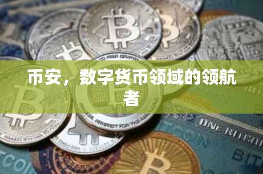 币安，数字货币领域的领航者