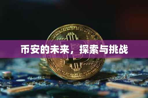 币安的未来，探索与挑战
