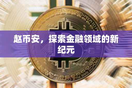 赵币安，探索金融领域的新纪元