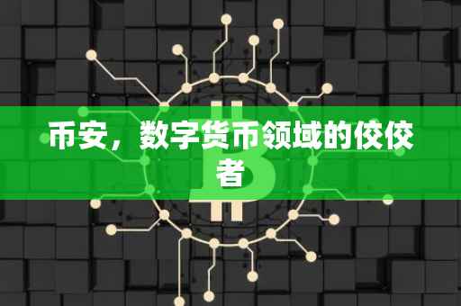 币安，数字货币领域的佼佼者