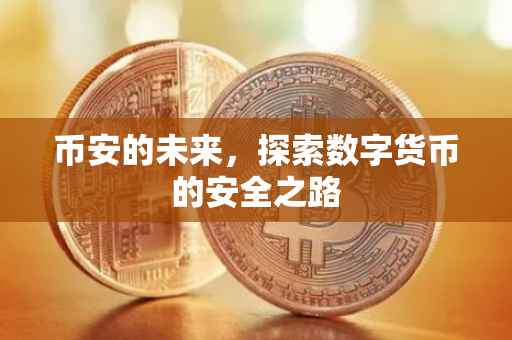 币安的未来，探索数字货币的安全之路