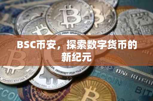 BSC币安，探索数字货币的新纪元