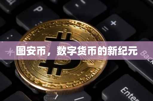 图安币，数字货币的新纪元