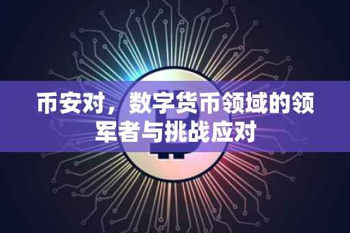 币安对，数字货币领域的领军者与挑战应对