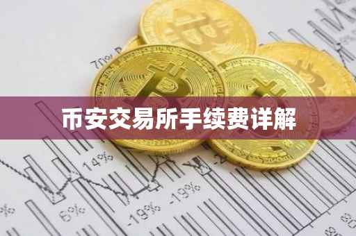 币安交易所手续费详解