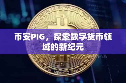 币安PIG，探索数字货币领域的新纪元