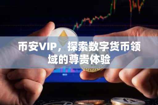 币安VIP，探索数字货币领域的尊贵体验