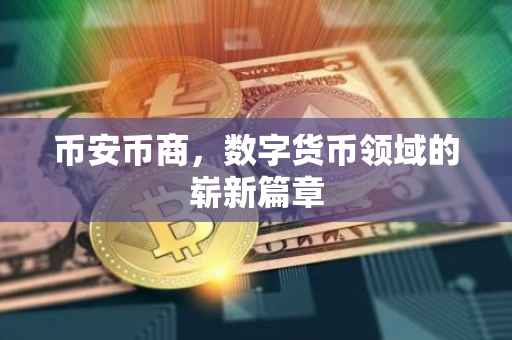 币安币商，数字货币领域的崭新篇章