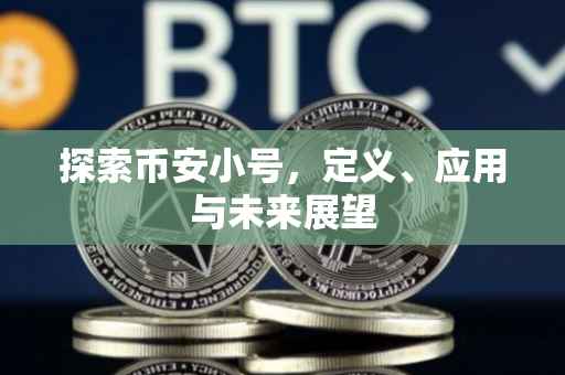 探索币安小号，定义、应用与未来展望