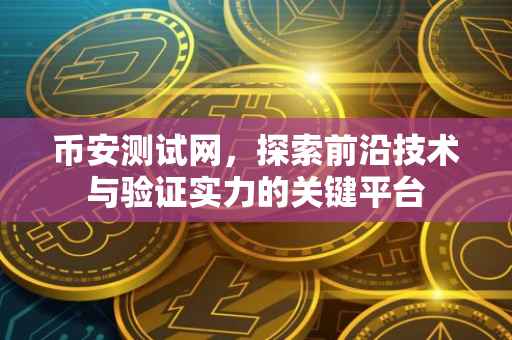 币安测试网，探索前沿技术与验证实力的关键平台