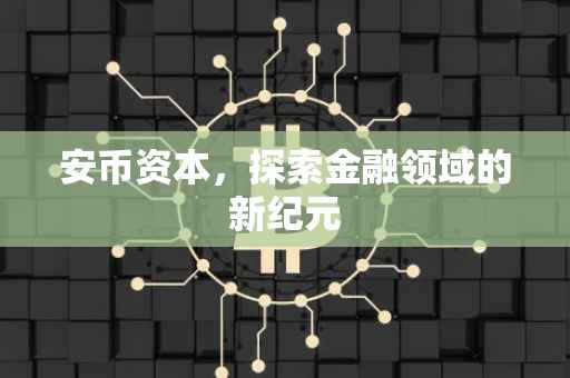 安币资本，探索金融领域的新纪元