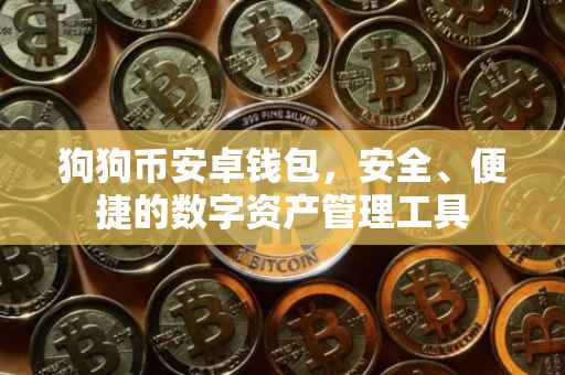 狗狗币安卓钱包，安全、便捷的数字资产管理工具