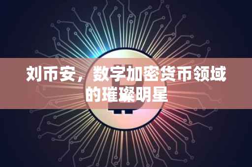 刘币安，数字加密货币领域的璀璨明星