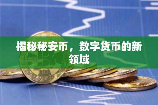 揭秘秘安币，数字货币的新领域