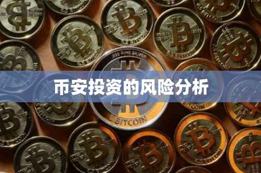币安投资的风险分析