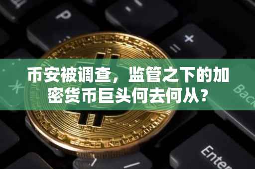 币安被调查，监管之下的加密货币巨头何去何从？