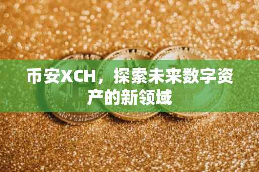 币安XCH，探索未来数字资产的新领域