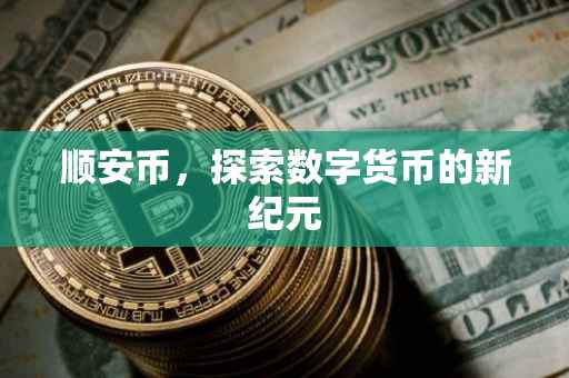 顺安币，探索数字货币的新纪元