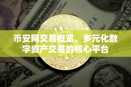 币安网交易概览，多元化数字资产交易的核心平台