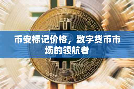 币安标记价格，数字货币市场的领航者