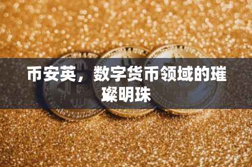 币安英，数字货币领域的璀璨明珠