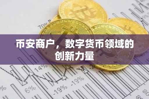 币安商户，数字货币领域的创新力量