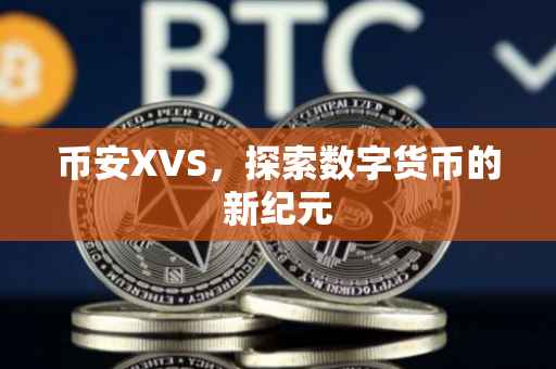 币安XVS，探索数字货币的新纪元