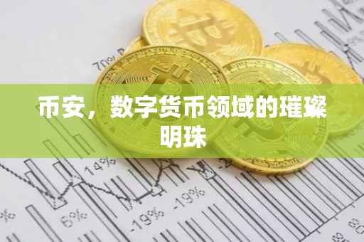 币安，数字货币领域的璀璨明珠