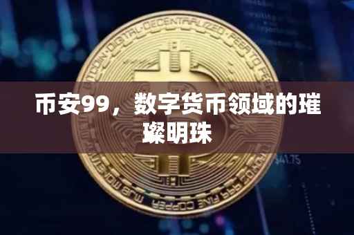 币安99,数字货币领域的璀璨明珠