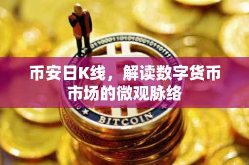 币安日K线,解读数字货币市场的微观脉络