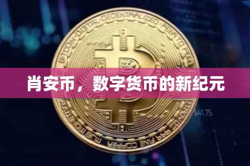 肖安币，数字货币的新纪元